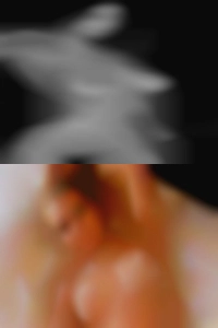 Sex ads naked Warner Robins.